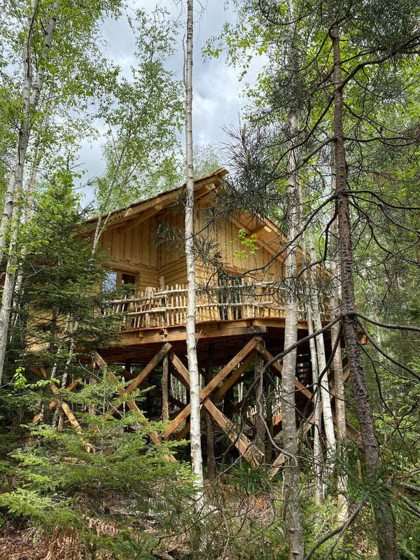 Cabane Jules Verne