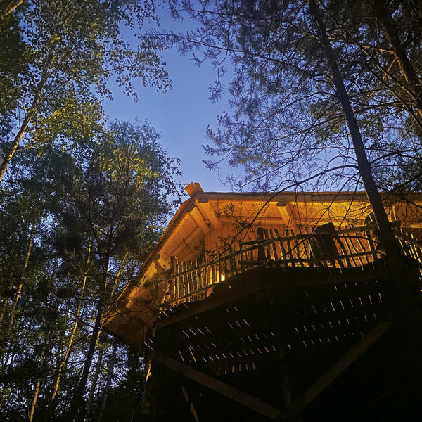 Cabane Jules Verne