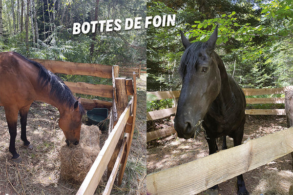 Bottes de foin